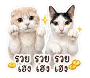 853611733
