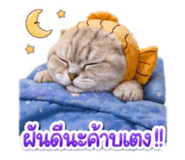 853611949