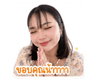 853613003