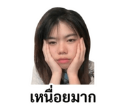 853613118