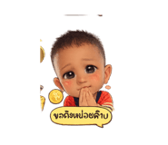 853613296