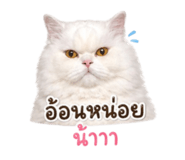 853613458