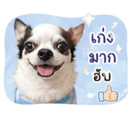 853613643