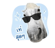853613683