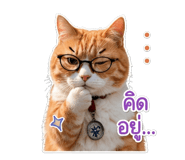 853615681