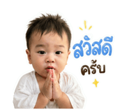 853617137