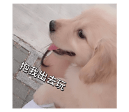 853619198