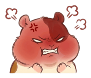 853620296