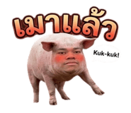 853621186