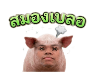 853621191