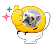 853624995