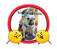 853625000