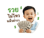 853625204