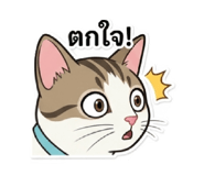 853625898
