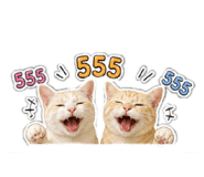 853625912