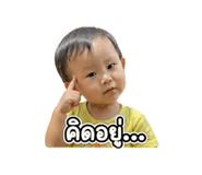 853626003