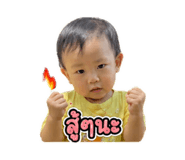 853626005