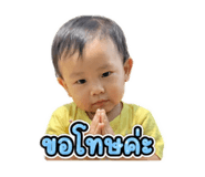 853626006
