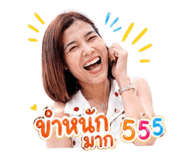 853626102
