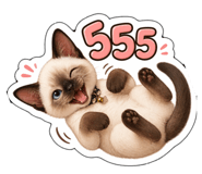 853626126