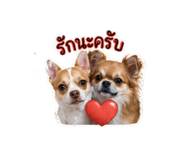 853627389