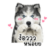 853628028