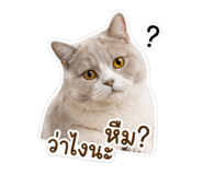 853628631