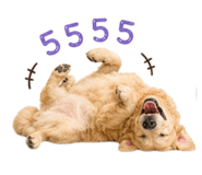 853629235
