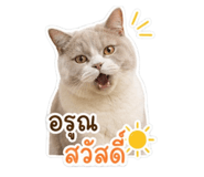 853631330
