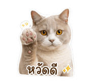 853631332