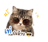 853631427
