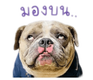 853631565