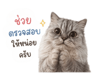 853632335