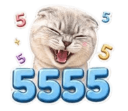 853632404