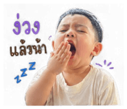 853633256