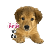 853633486