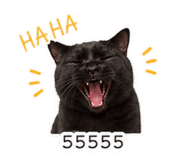 853633507