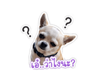 853634502