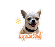 853634504