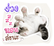 853635015