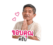 853636667
