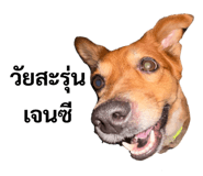 853636742