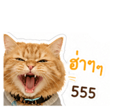 853637059