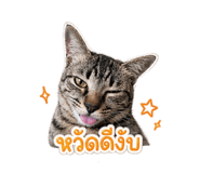 853637298