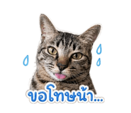853637303
