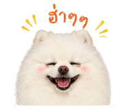 853637378