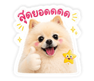 853638356