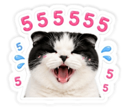 853638359