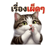853639622