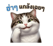 853639624